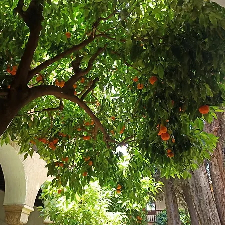 Susana Appartement *